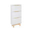 12 Pair Shoe Storage Cabinet