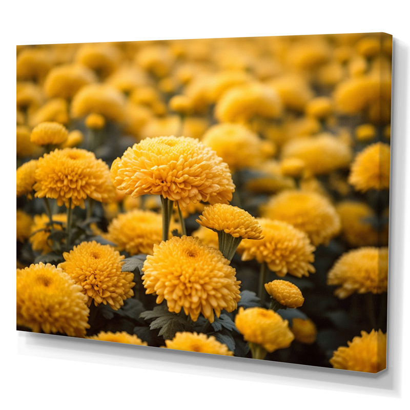 «Yellow Mums in Bloom II» sur toile, H 34 po x l 44 po x P 1,5 po, Toile tendue