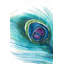 Plume de paon, reproduction sur toile