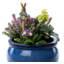 Peter Rabbit tenant une carotte