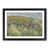 Black Framed selected
