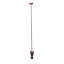 Rustic Lodge 1 - Light Pendant