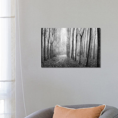 Autumn Mist by George Digalakis - Wrapped Canvas Print