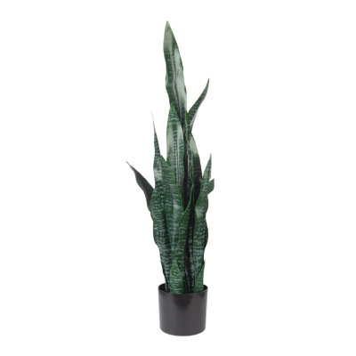 Artificiel or 35 po Sansevieria intérieur et extérieur