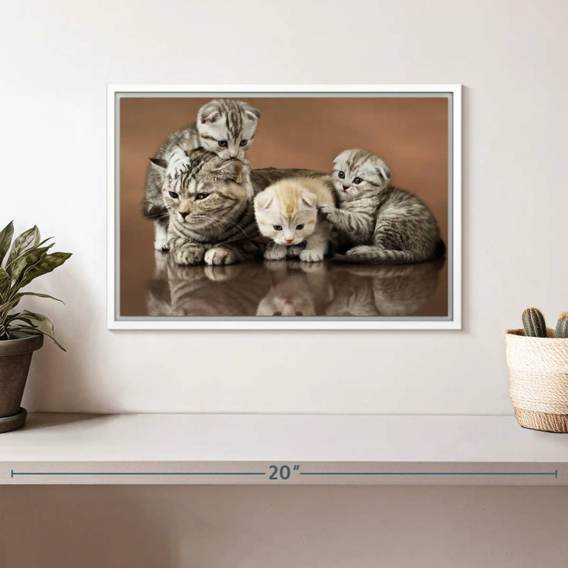 Famille de chats, Cadre flottant blanc, 13 po x 9 po