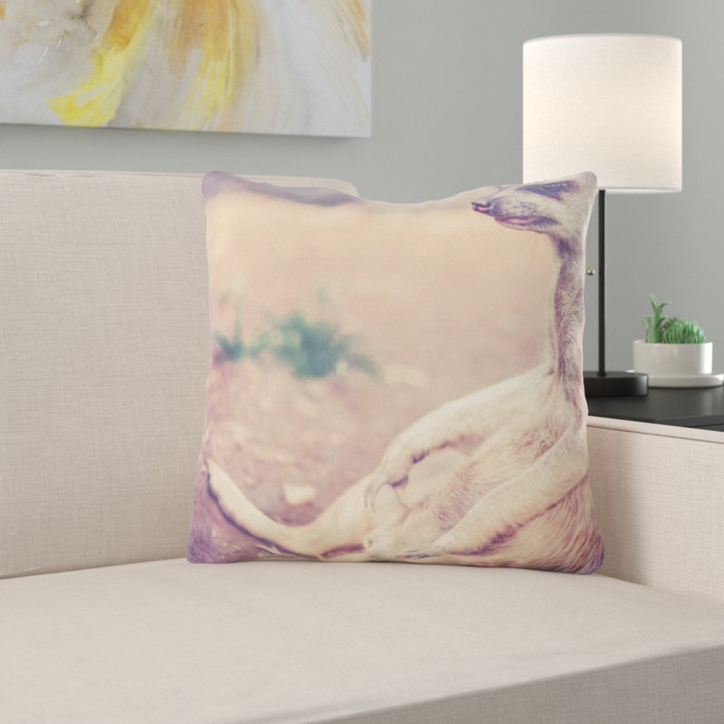 Coussin suricate
