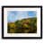 Black Framed Canvas is unavailable