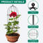 Grow By Plant Support-109019019
