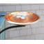 Bain d'oiseaux Dogwood avec support de fixation sur rail