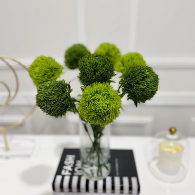 15 Inch Real Touch Green Dianthus Faux Floral Arrangement in Clear Glass Cylinder Vase, Modern Contemporary Centerpiece for Dining Table, Console, and Office Decor