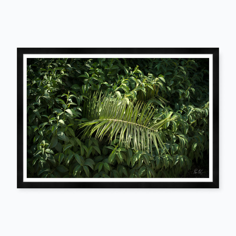 Athens Palm Print by Tim Klein