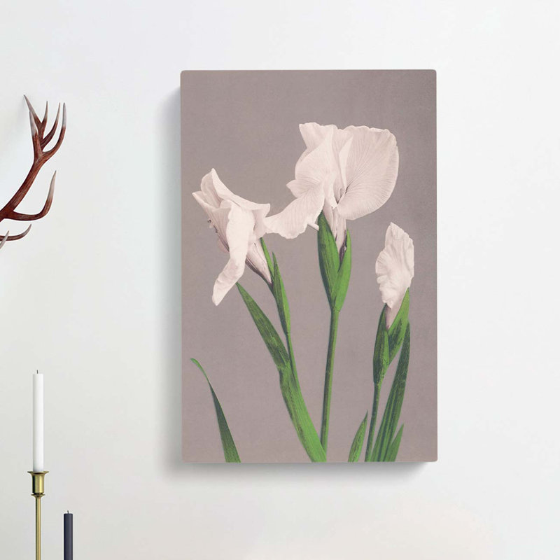 White Irises by Ogawa Kazumasa - Wrapped Canvas, 76cm H x 50cm W x 3cm D