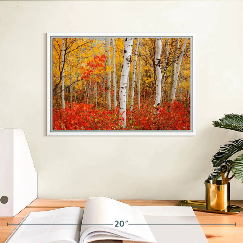 Bouleaux d'automne, Cadre flottant blanc, 13 po x 9 po