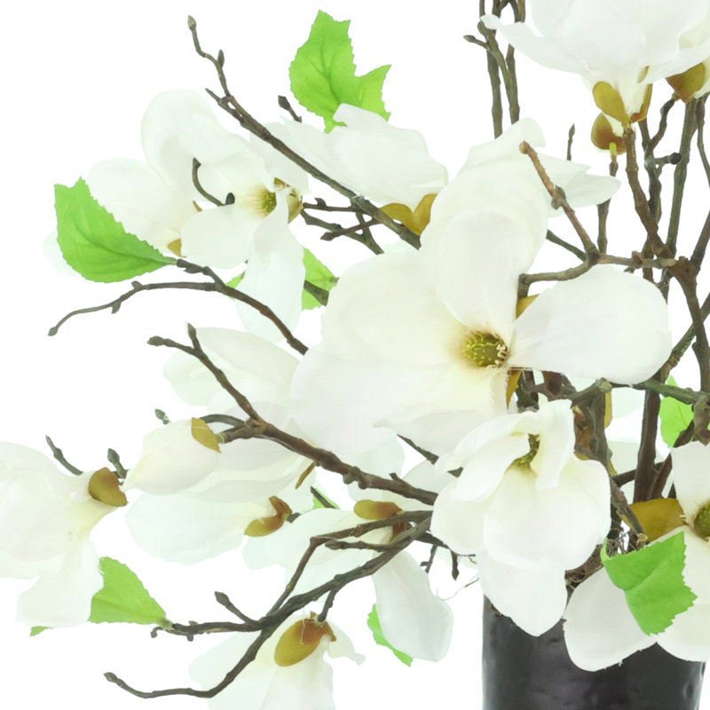 Magnolias disposés dans un pot en céramique