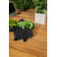Charvi 6 - Person Acacia Solid Wood Patio Dining Set Rectangular Table