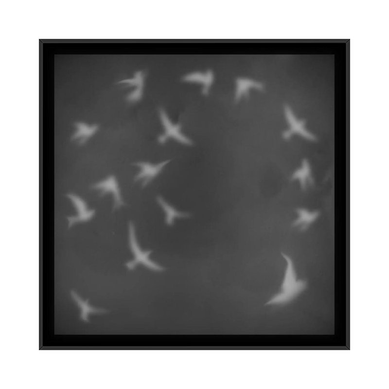 Albree Modern, vol d'oiseaux, impression sur toile, H 18 po x l 18 po x P 1,5 po, Toile avec cadre flottant noir, Non mat