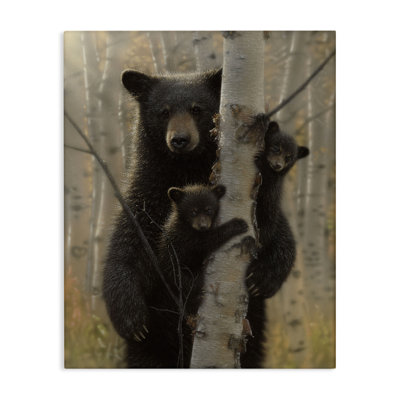 Maman ours derrière une toile, conception de Collin Bogle