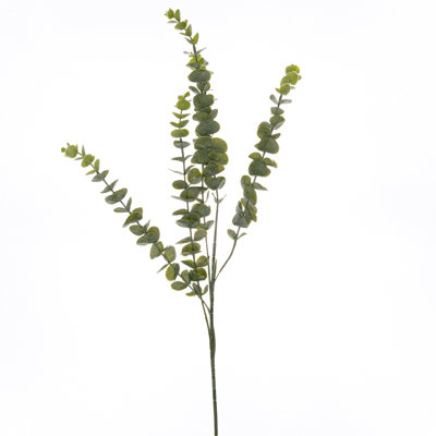 Anastasija Arrangement