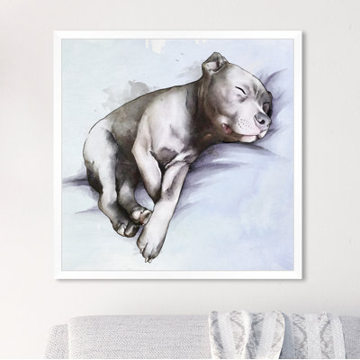 " Animals Sleeping Pitbull Dogs And Puppies "