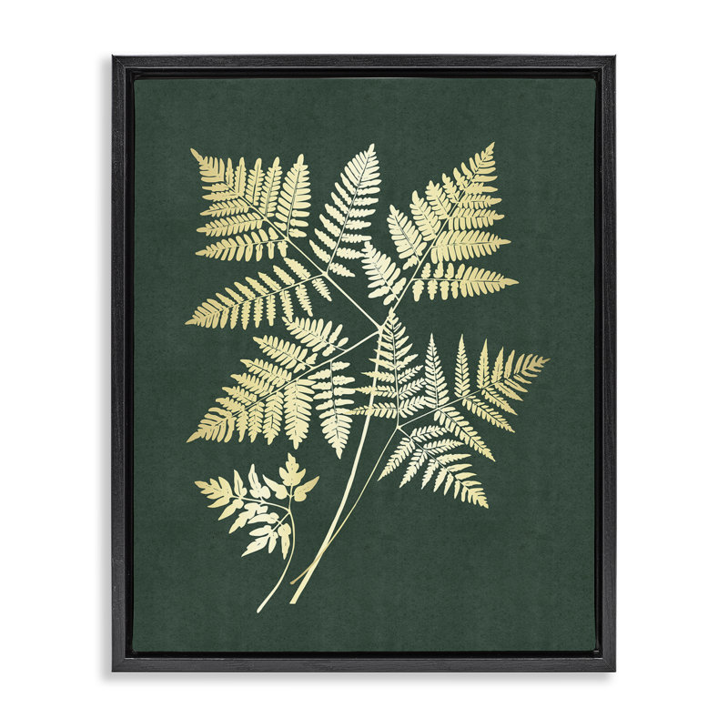 «Fern Leaves on Green Floater», art mural sur toile par JJ Design House LLC, H 31 po x l 25 po, Cadre flottant noir de jais