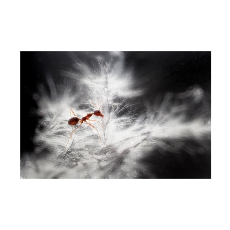 Rooswandy Juniawan Glowing Canvas Art, 12" H x 19" W