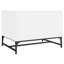 Aanuoluwa Coffee Table with Storage-1463534812