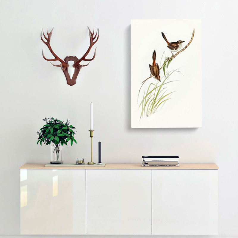Wrens by Elizabeth Gould - Wrapped Canvas Print, 76cm H x 50cm W x 3cm D
