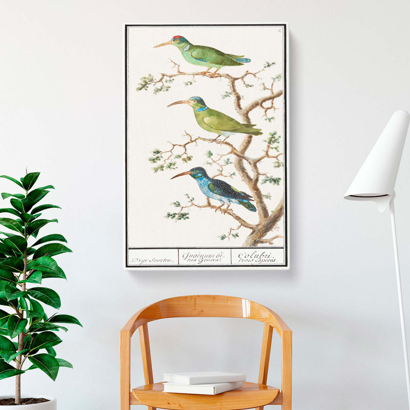 Three Hummingbirds by A.B. De Boodt - Wrapped Canvas Painting, 60cm H x 40cm W x 3cm D