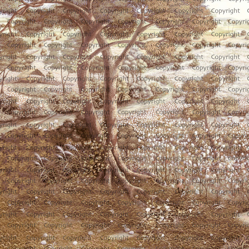 Papier peint Serene Countryside Blooming Wildflowers, Brun, L 66 po x l 122 po