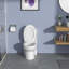 Toilette une pièce Rainlex RX-T24W