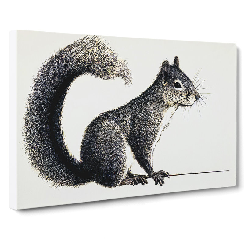 A Pleasant Squirrel - Wrapped Canvas, 50cm H x 76cm W x 3cm D