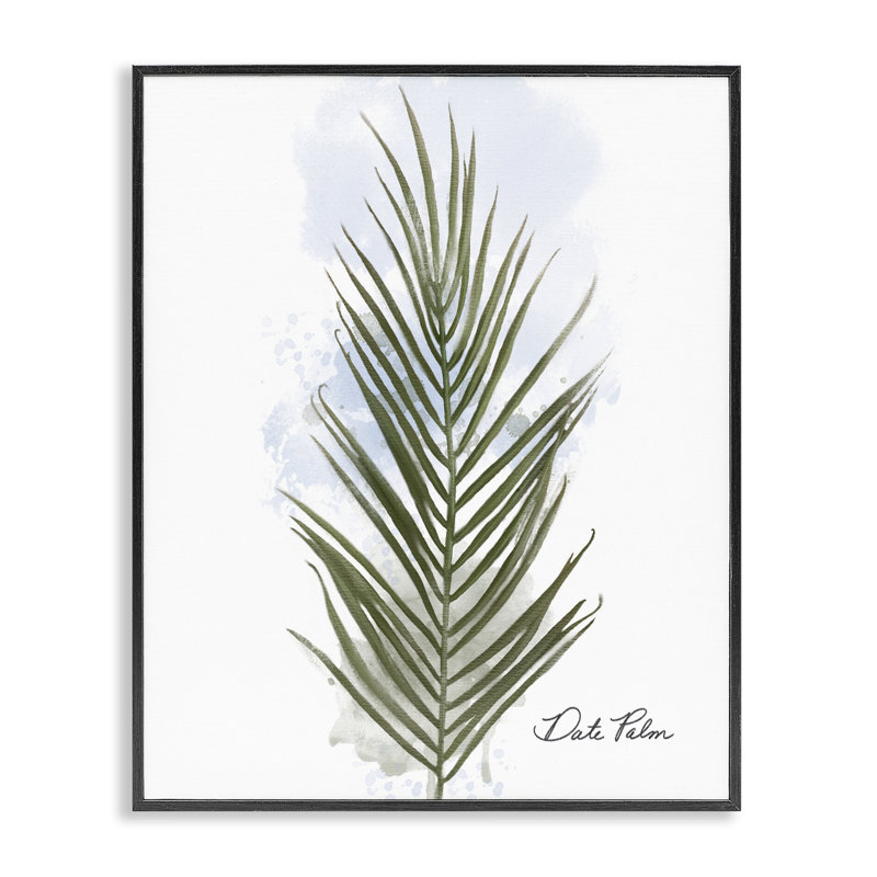 «Modern Date Palm Leaf», estampe numérique de Matthew Piotrowicz, H 14 po x l 11 po, Giclée encadrée noir minuit