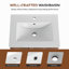 Ensemble de meuble-lavabo flottant 24 po avec lavabo, meuble-lavabo mural en ébène brun, portes à fermeture douce, ensemble de meuble-lavabo moderne peu encombrant