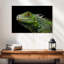 Tête d'iguane vert Brampt-108888846