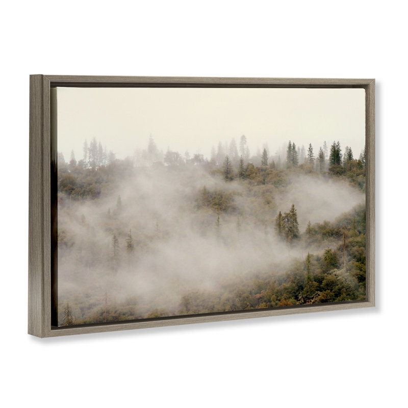 Cadre flottant matin brouillard sur arbres, design par Gemma Bardot, H 21 po x l 31 po, Cadre flottant orme Montalcino