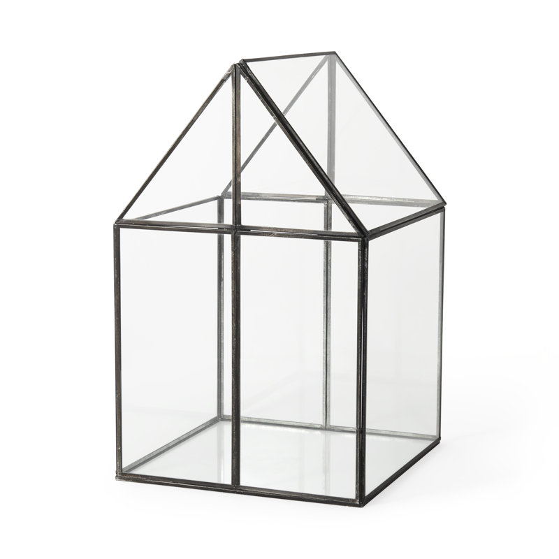 Terrarium en verre Navin, H 16,1 po x l 10,1 po x P 10,1 po