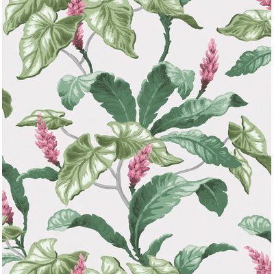 Rouleau de papier peint tropical L 33 pi x l 20,5 po Kristen Meridian Parade