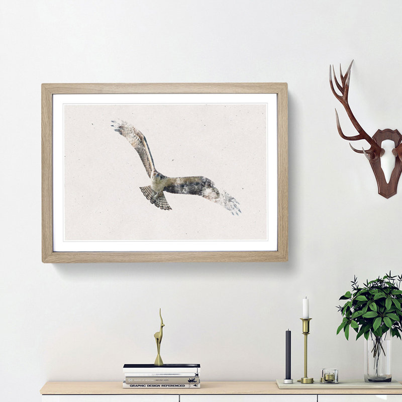 Osprey Bird - Framed Print, 45cm H x 63cm W x 2cm D, Oak Framed