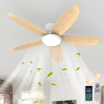 42" 5 - Blade Dimmable LED Reversible Ceiling Fan With Light And Remote Control