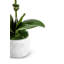 Wesley Realtouch Orchid in Cement Planter