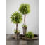 Orbe artificiel 5,5 po Smilax