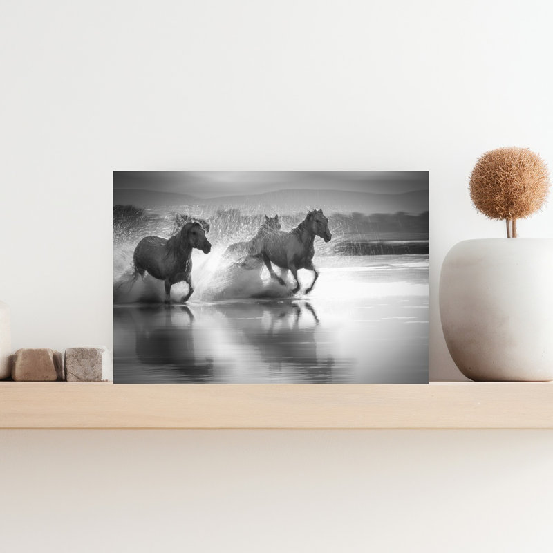 Reproduction d'art mural cheval sauvage, 12" H x 18" W