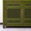 Armoire d'entrée New-Style chinois patiné