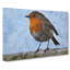 Robin Bird Vol.1 - Wrapped Canvas Painting-61845420