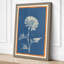 Daisy in Blueprint Botanical - Wrapped Canvas-1919678389-1919678398