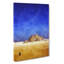 Camel By The Pyramids Of Giza - Wrapped Canvas-56633975