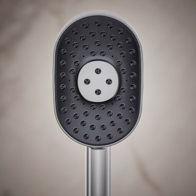 Statement 2.5 GPM Oval Multifunction Handshower With Katalyst Air-Induction Technology, Polished Chrome