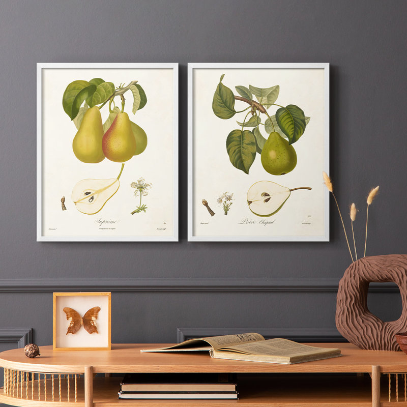 Reproduction encadrée Vintage Pears V-Premium - prête à être accrochée - aucun clou requis - aucun clou requis, Blanc