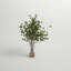 Branches de bourgeons en feuillage en pot