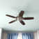 52" Builder Elite 5 - Blade Standard Ceiling Fan with Pull Chain